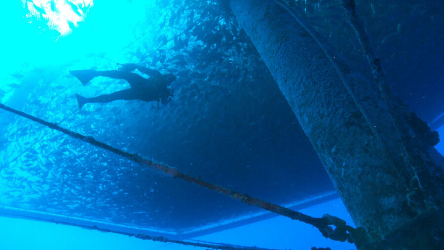 Why NOAA seeks to open federal waters off Hawaii to fish farming